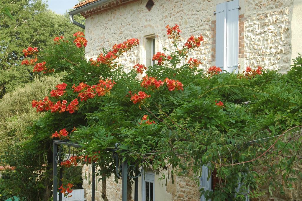 Domaine De Cimelia Villa Fauch Bagian luar foto